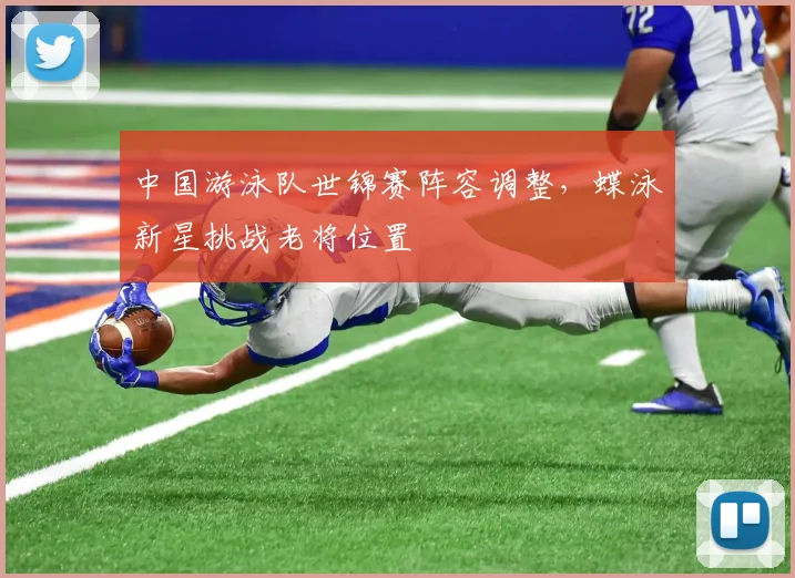 中国游泳队世锦赛阵容调整,蝶泳新星挑战老将位置