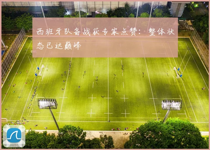 西班牙队备战获专家点赞:整体状态已达巅峰