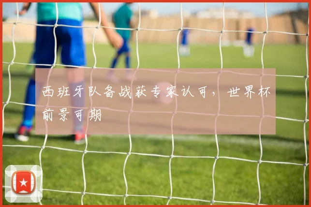 西班牙队备战获专家认可,世界杯前景可期