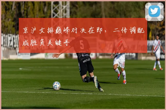 京沪女排巅峰对决在即,二传调配成胜负关键手
