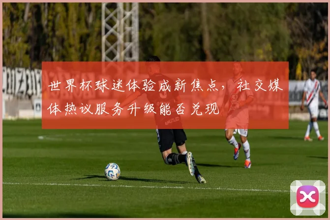 世界杯球迷体验成新焦点,社交媒体热议服务升级能否兑现
