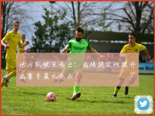 地方队破茧而出:成绩稳定性提升成赛季最大亮点
